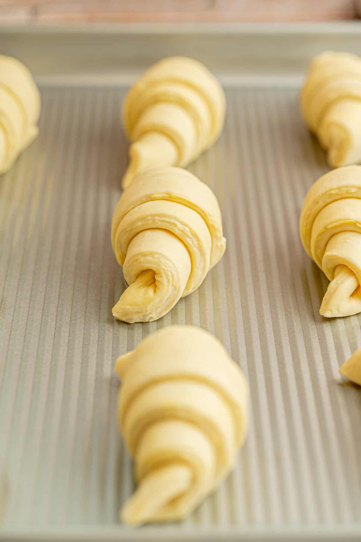 Unbaked sourdough croissants made from rolled dough are arranged on a baking sheet, ready to be baked.
