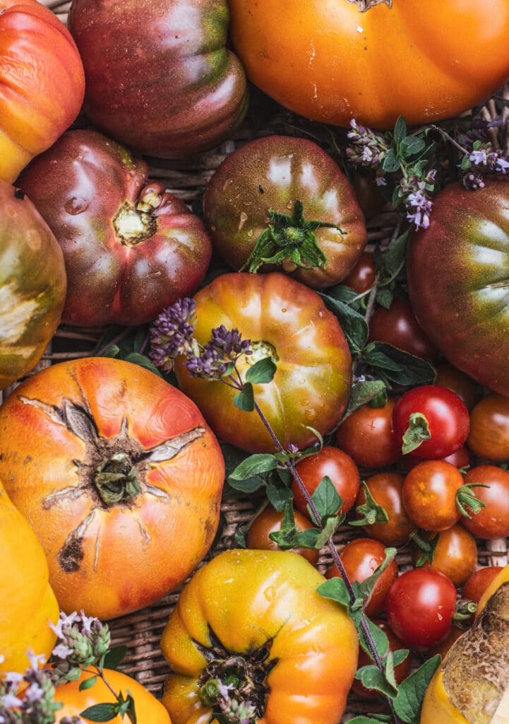 a basket of red and orange heirloom tomatoes 