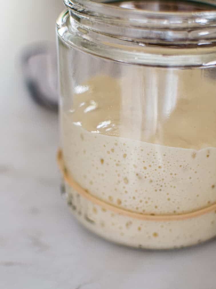 Sourdough Bread Trouble-Shooting 