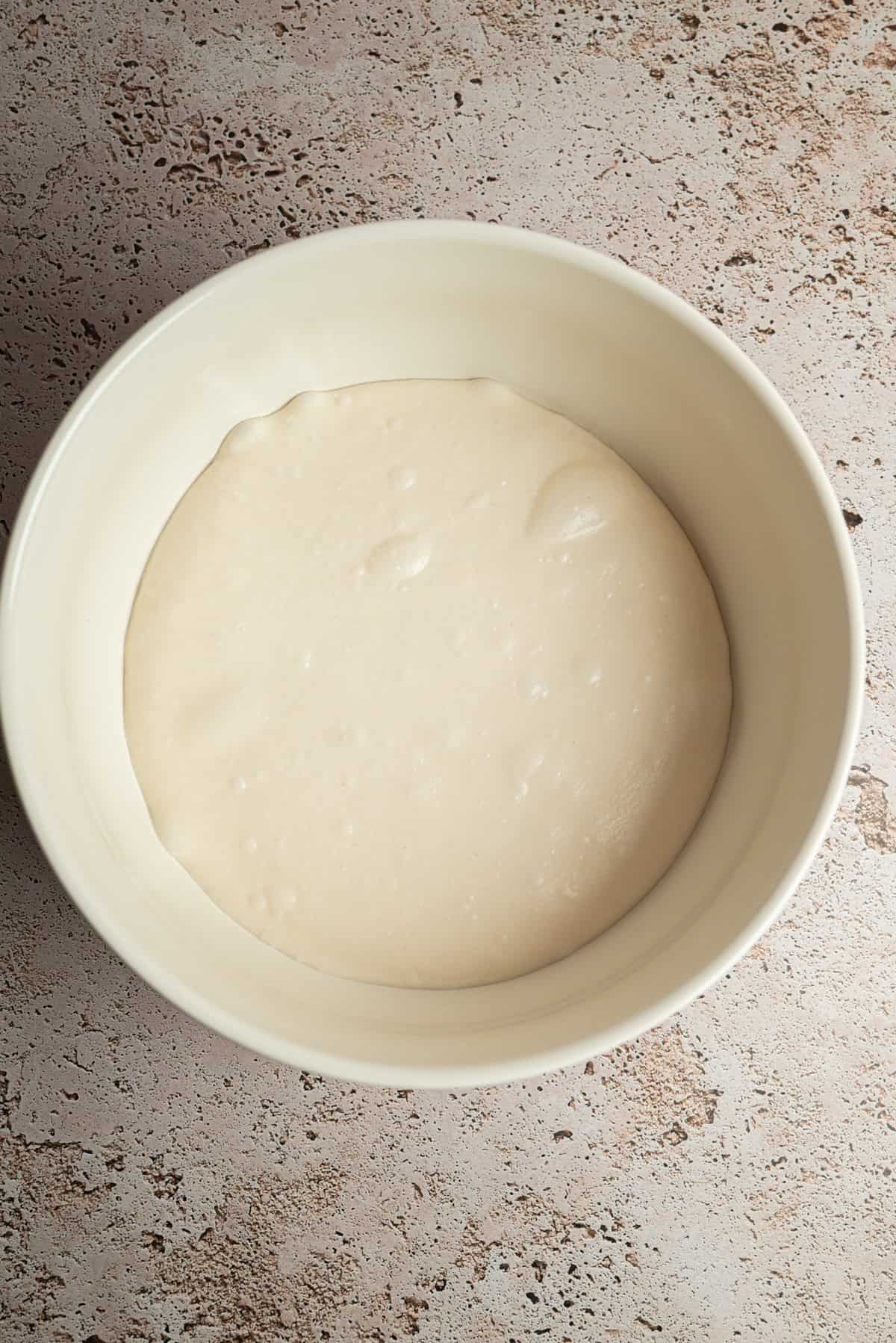 A white ceramic bowl filled with bubbly, risen sourdough bread dough sits on a textured, light brown surface—promising a loaf that's airy, not dense.