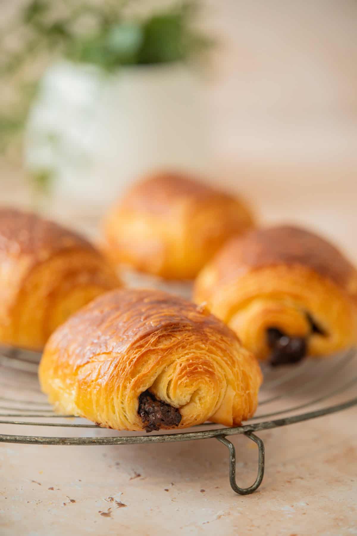 Four golden-brown sourdough pain au chocolat pastries rest on a round cooling rack, with a blurred background featuring green foliage and a white vase.
