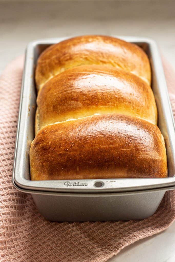 baked sourdough milk bread in a pan.