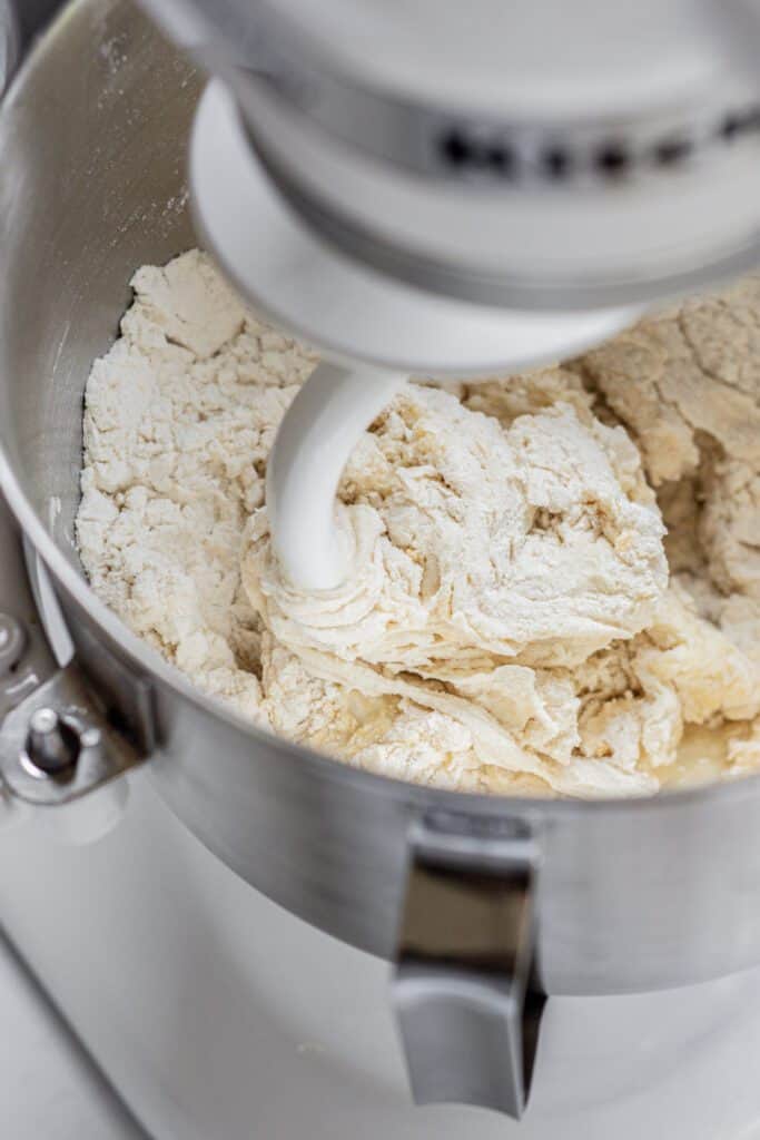 shaggy dough in a stand mixer.