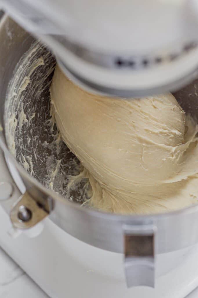 dough in a stand mixer.