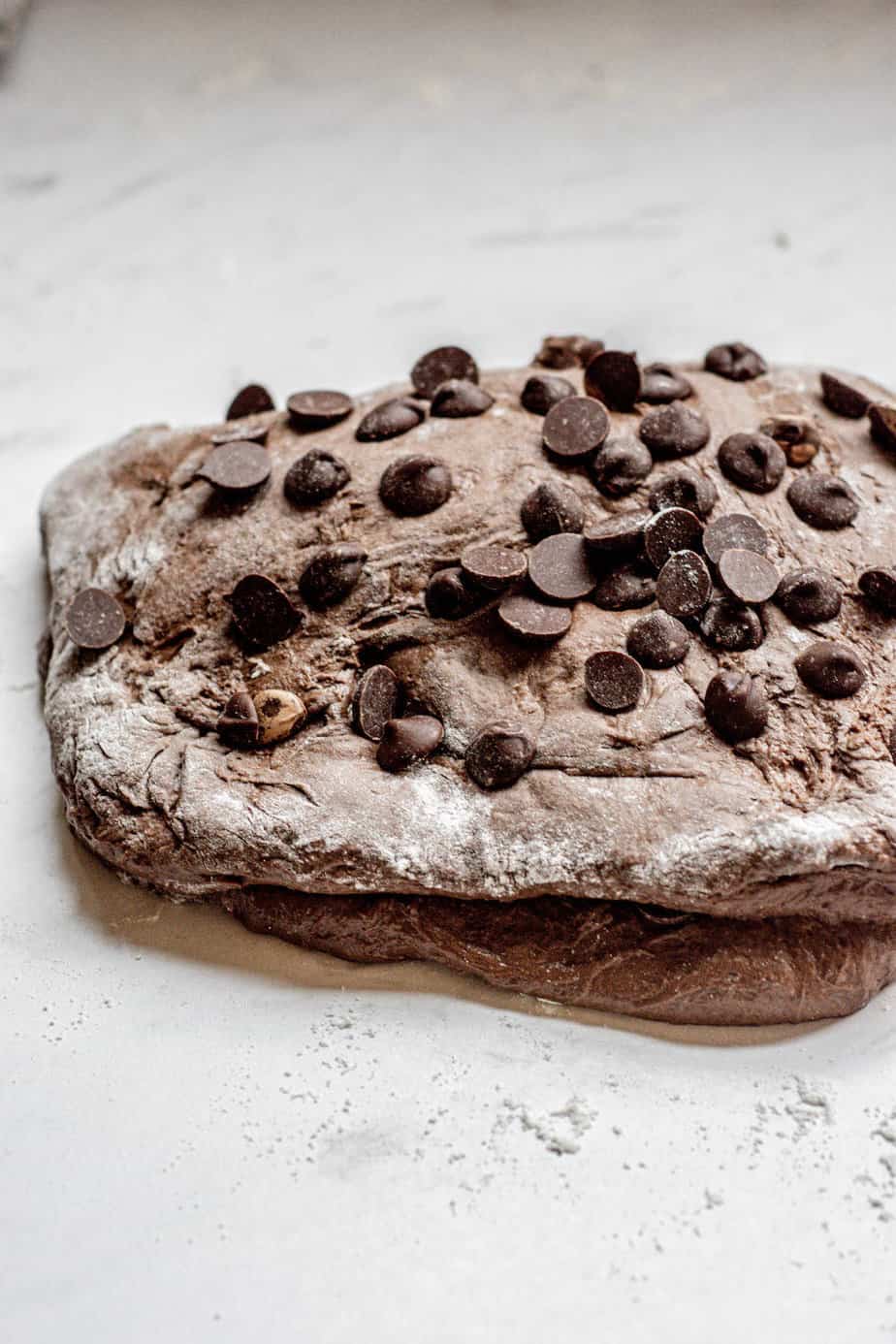 dough with chocolate chips