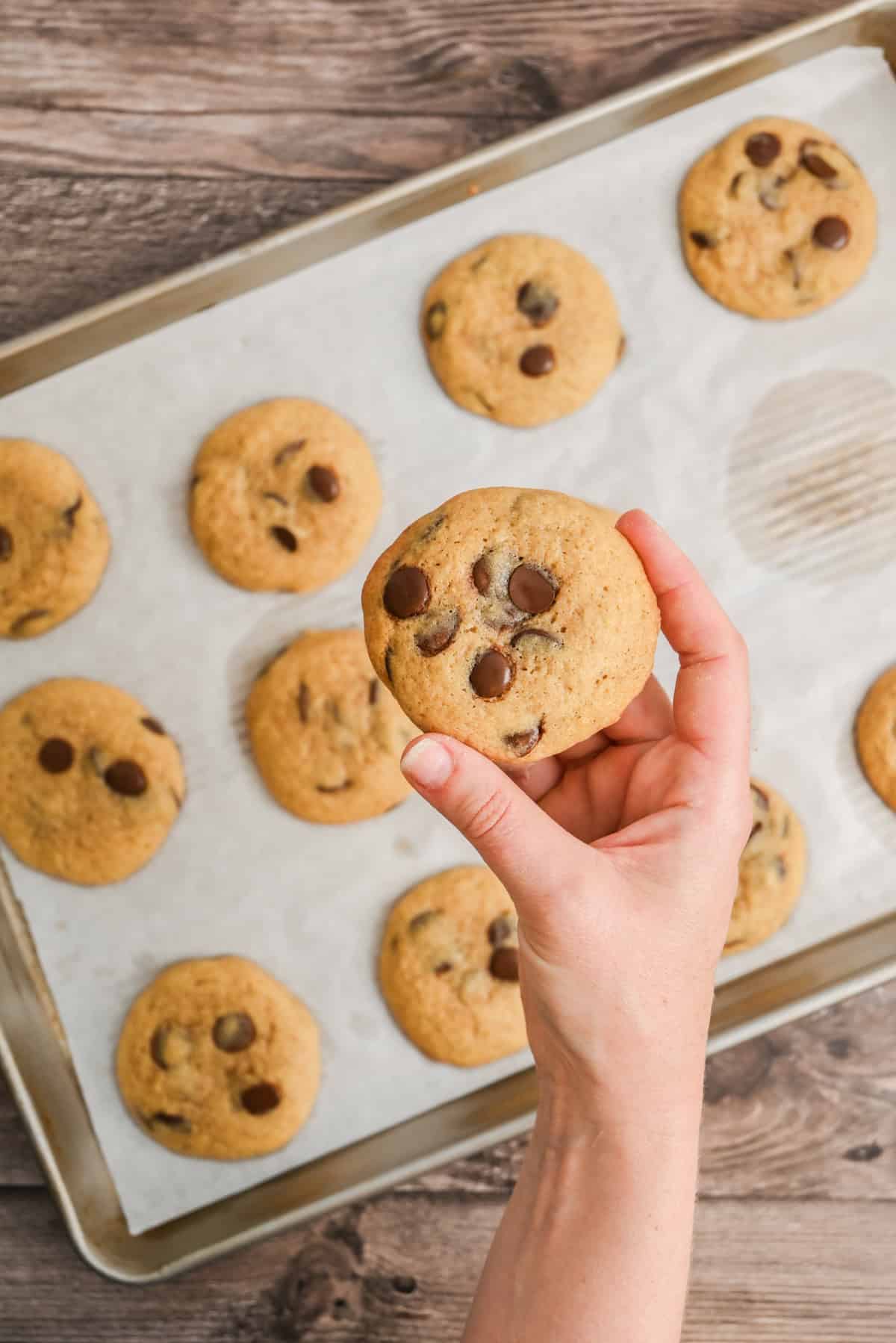 A hand holds up a freshly baked chocolate chip cookie above a baking sheet lined with parchment paper, with more cookies visible in the background on a wooden surface.
