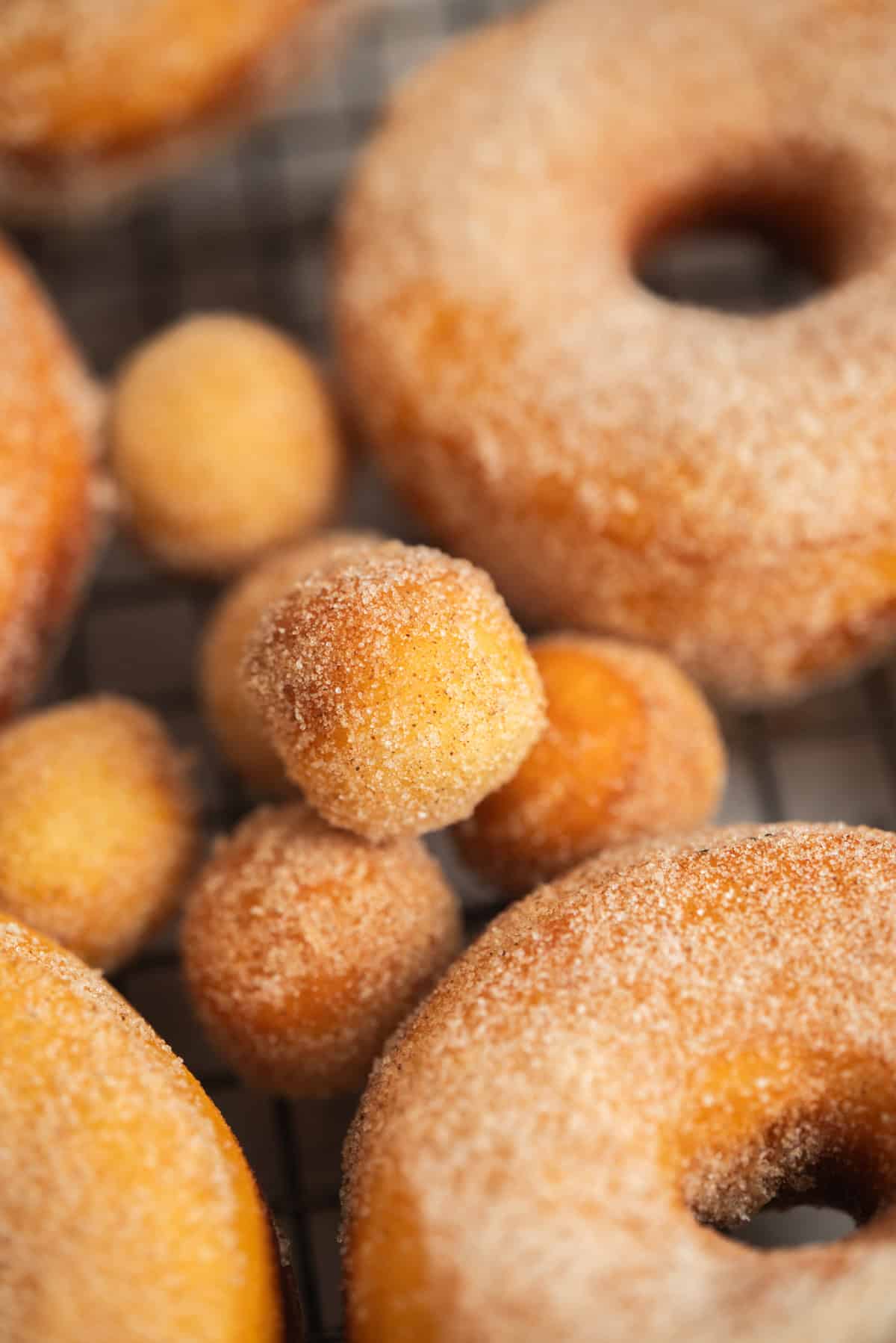 Close-up of cinnamon sugar-coated donuts and donut holes on a cooling rack, showcasing their golden-brown color and sugar-crusted texture.