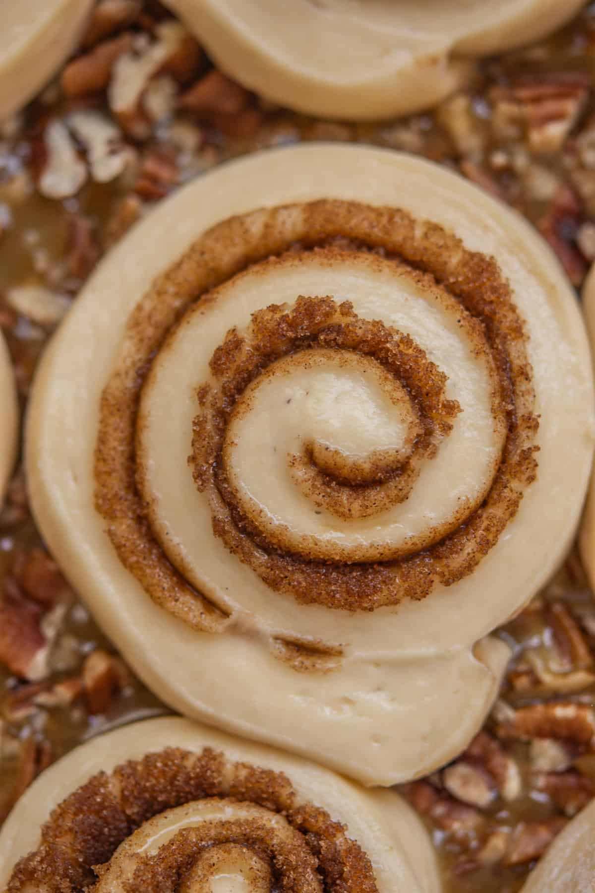 A close-up of an unbaked cinnamon roll with swirls of brown sugar and cinnamon, surrounded by chopped pecans and caramel sauce.