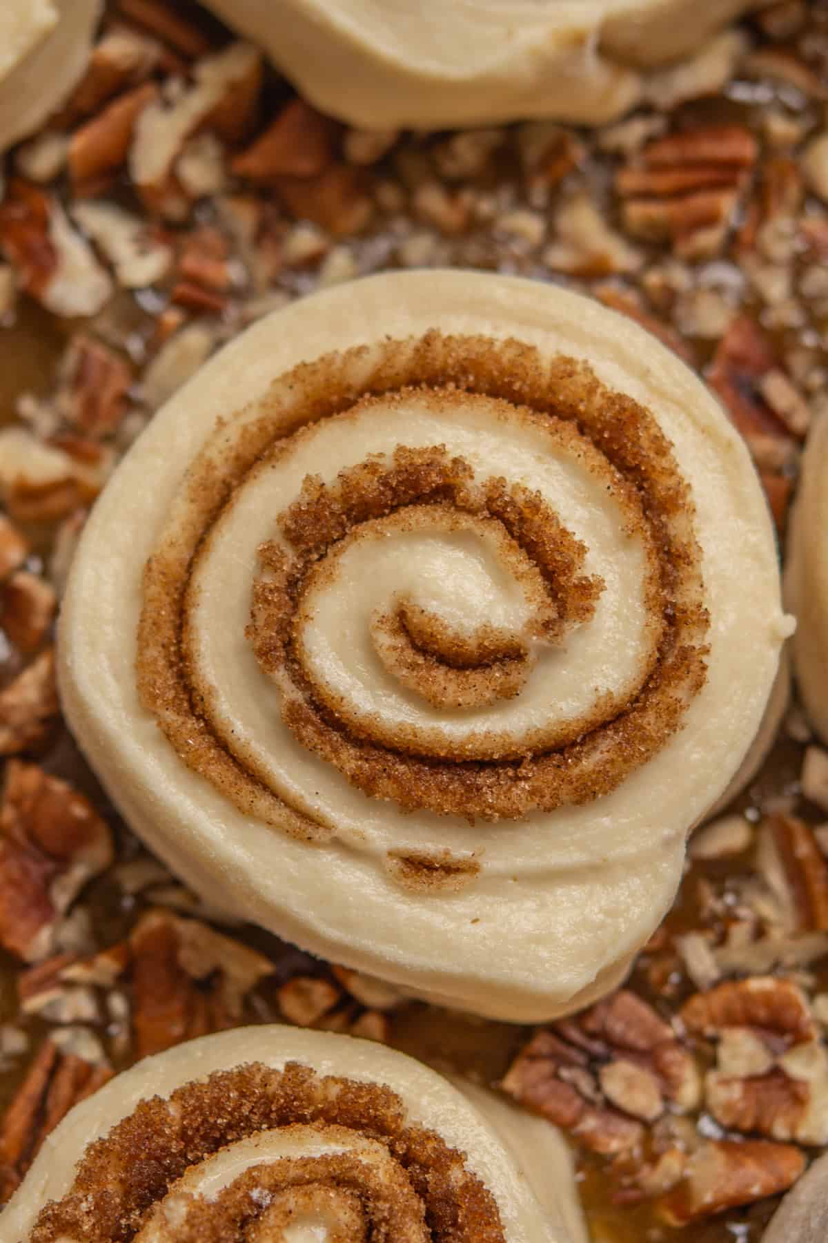 A close-up of an unbaked cinnamon roll spiral topped with brown sugar and cinnamon, surrounded by chopped pecans.