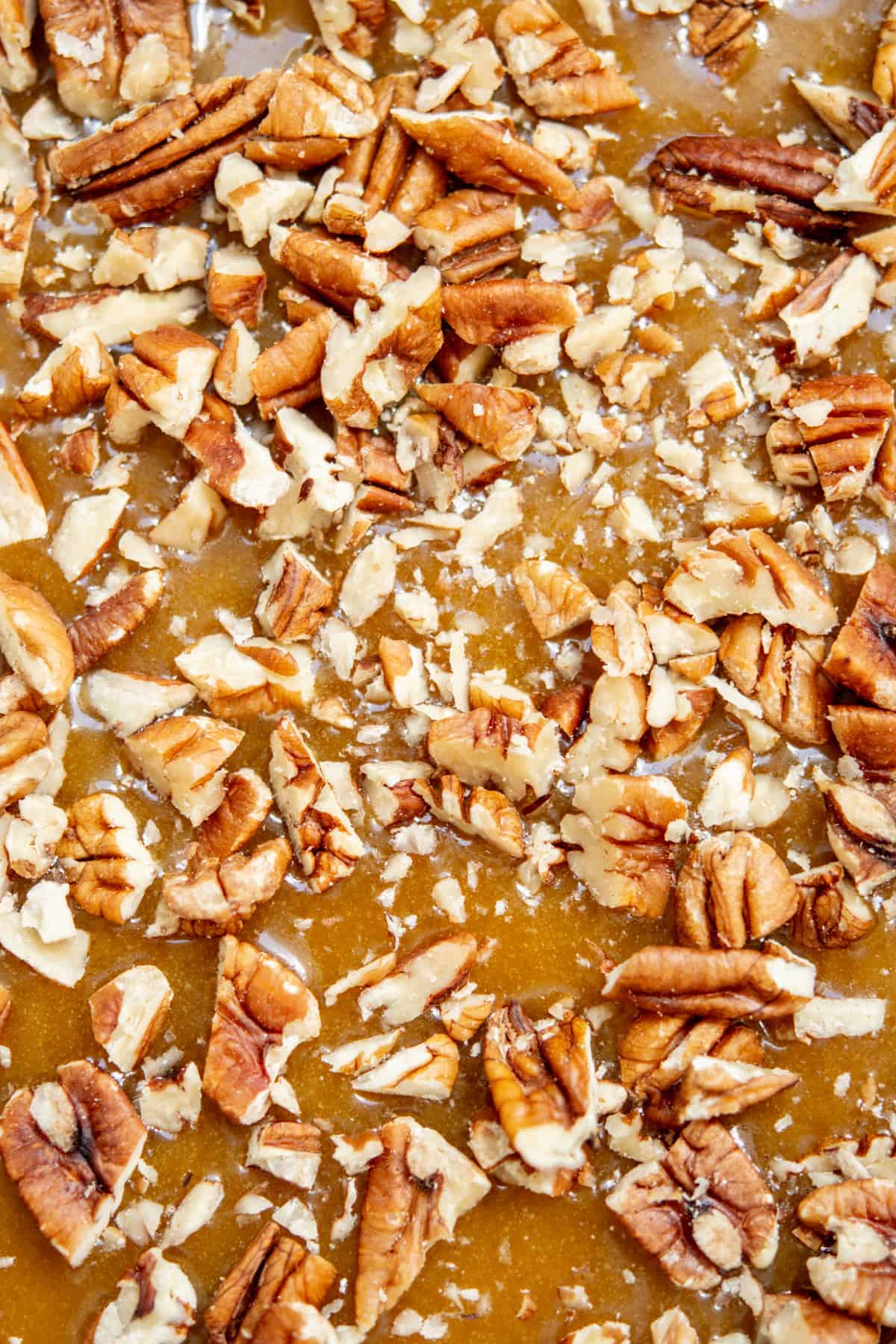 Close-up of chopped pecans scattered over a glossy caramel surface, suggesting a dessert topping or filling in the process of being prepared.