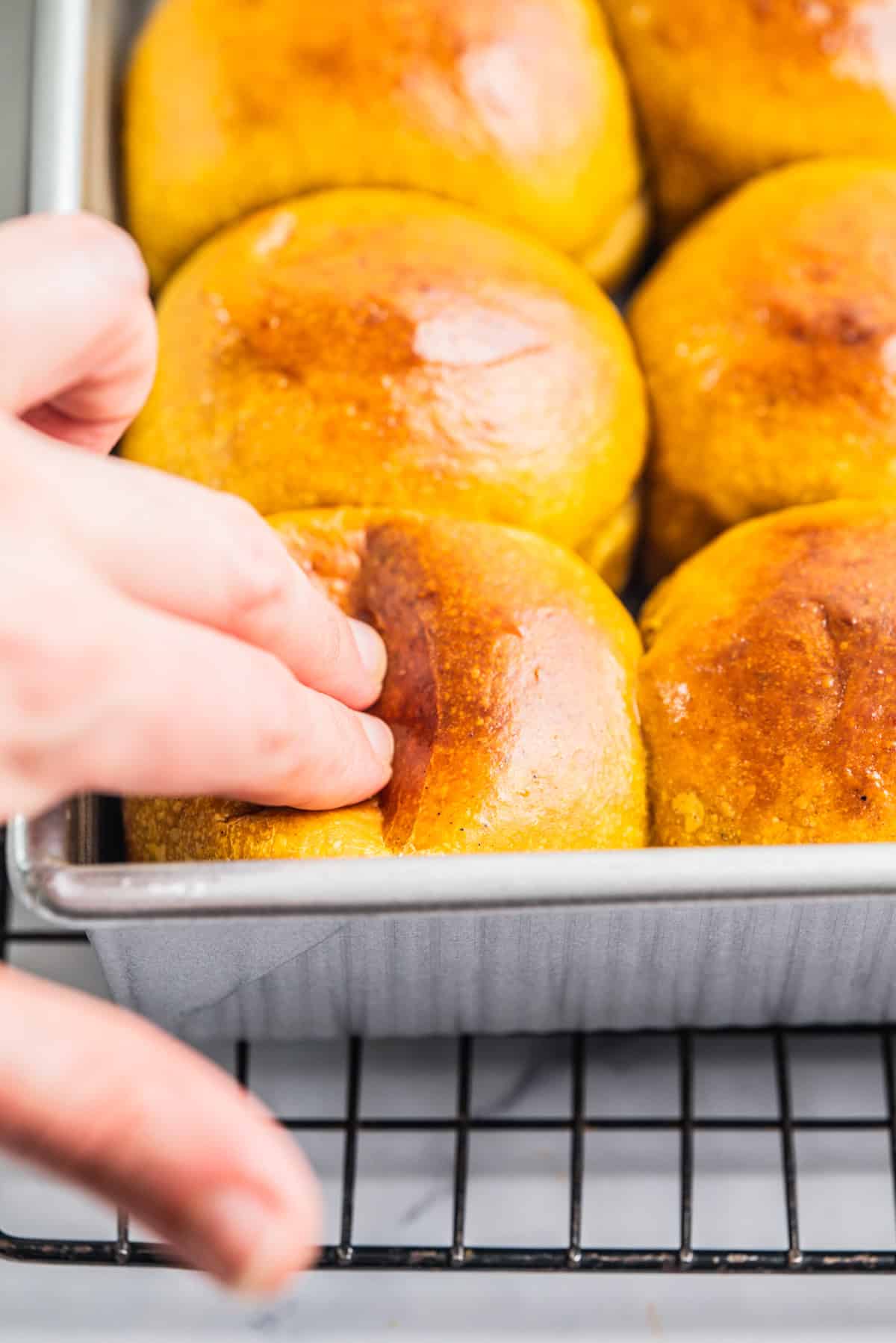 A hand gently presses a shiny, golden brown sourdough pumpkin dinner roll in a baking pan, which is resting on a wire cooling rack.