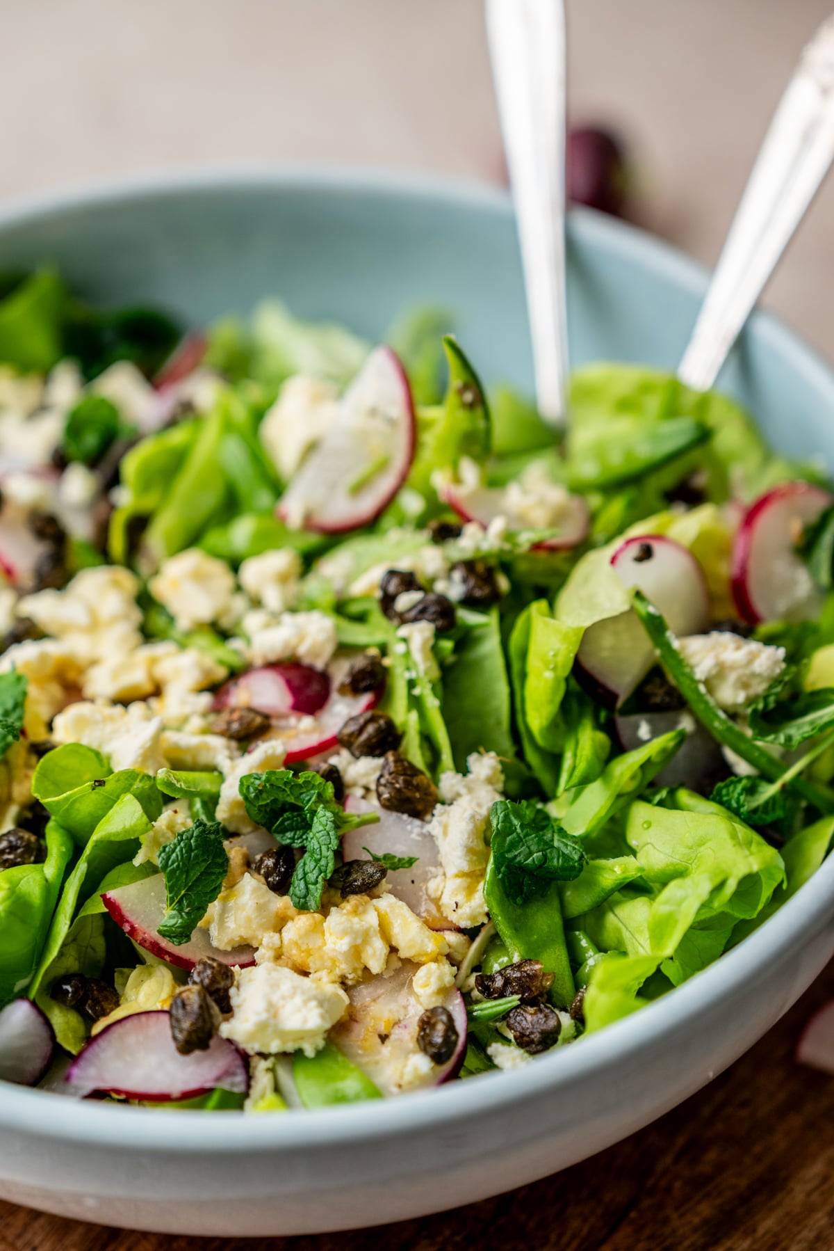 A blue bowl filled with a salad of greens, sliced radishes, crumbled cheese, and herbs, served with two forks.