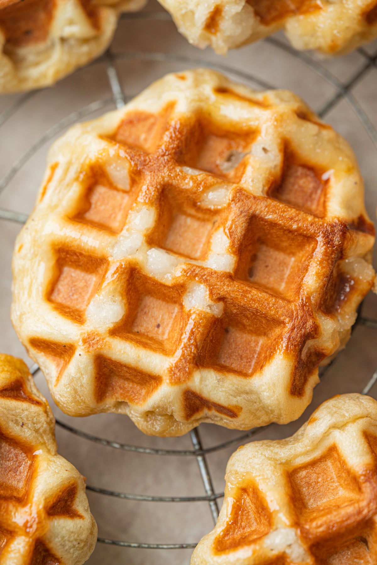 A round Belgian liege waffle with deep pockets, sitting on a wire cooling rack.