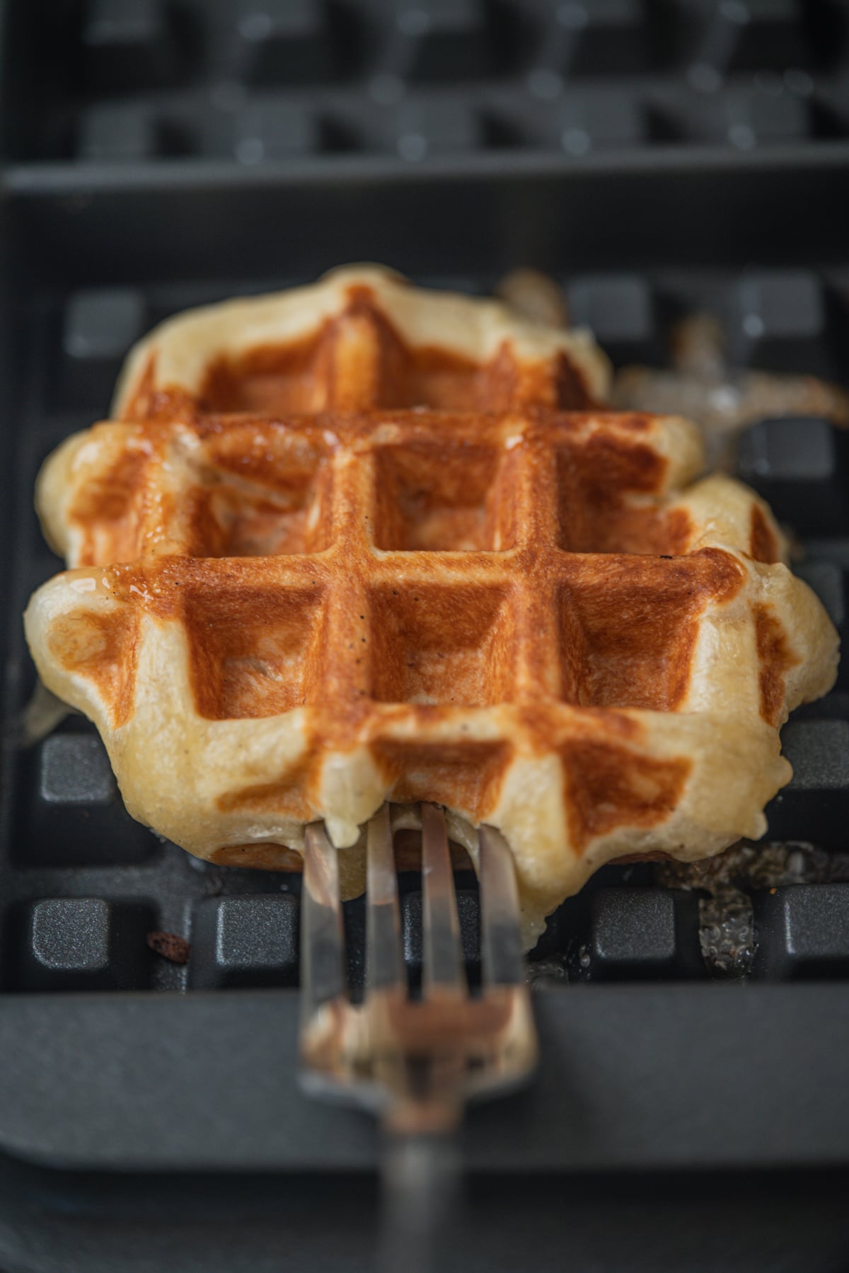 A golden brown liege waffle being lifted from a waffle maker with a metal fork.